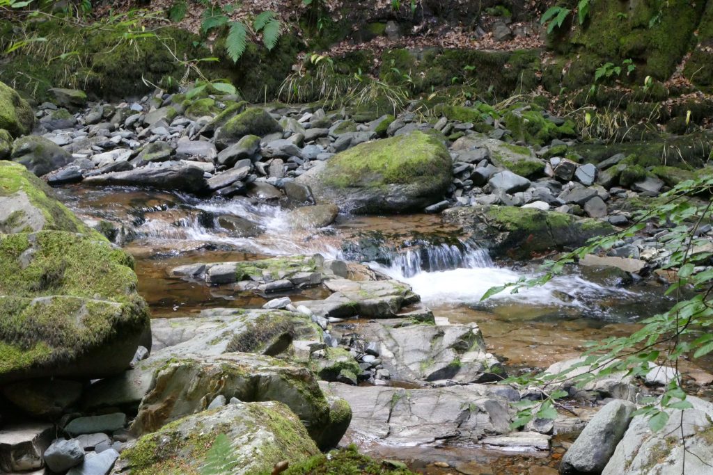 L'eau de source écossaise -ingrédients pour fabriquer le whisky